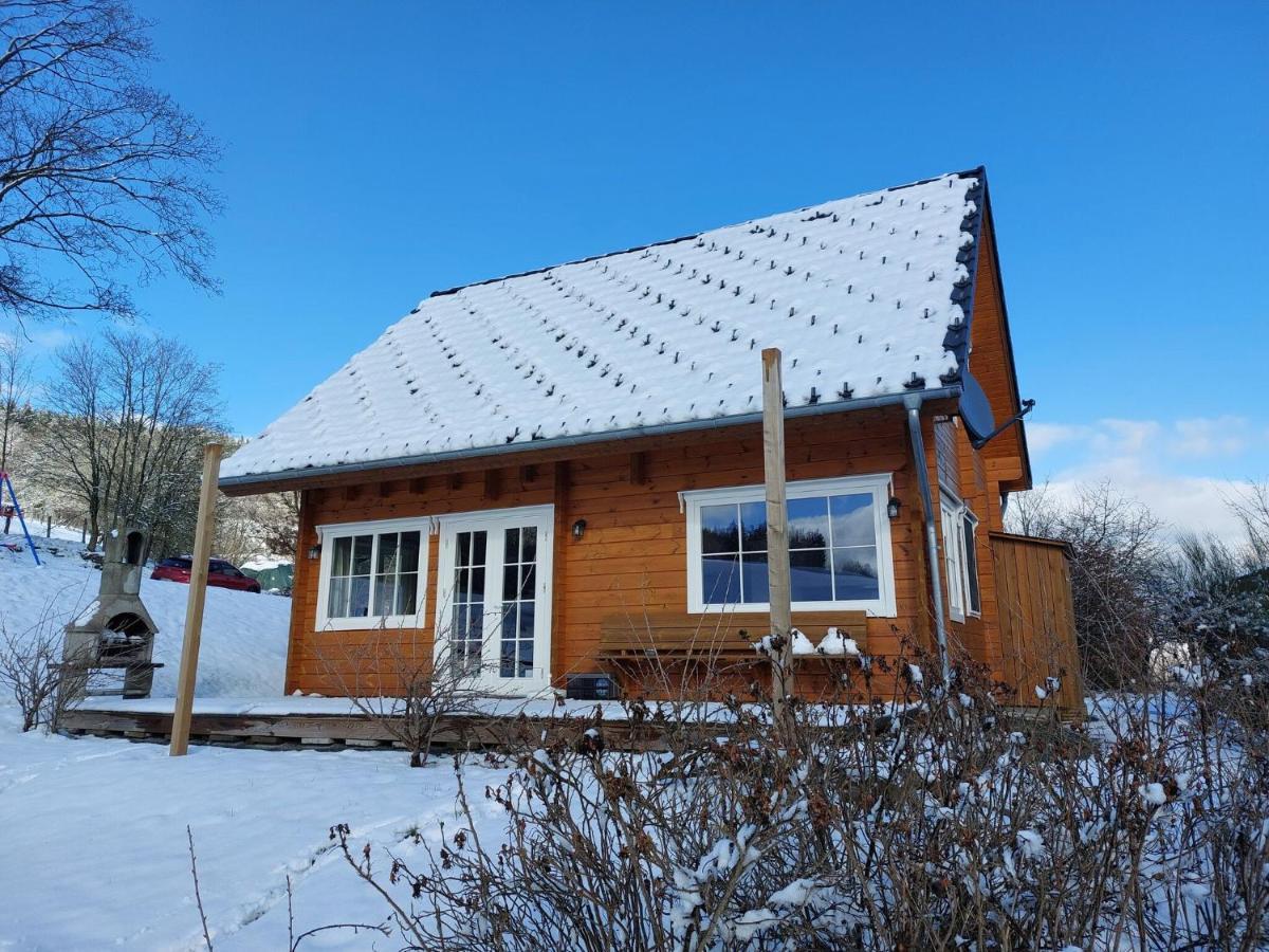 Wooden Holiday Home in Wissinghausen with Private Sauna Medebach Exterior foto