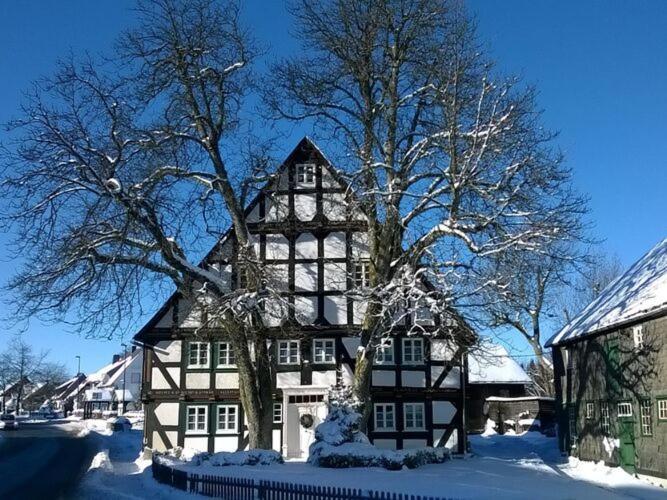 Wooden Holiday Home in Wissinghausen with Private Sauna Medebach Exterior foto